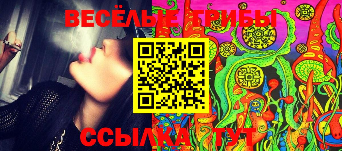 Псилоцибиновые грибы GOLDEN TEACHER Качканар