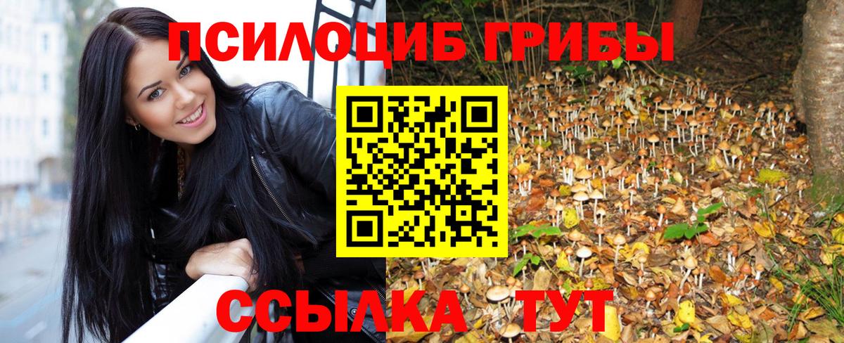 Качканар  Псилоцибиновые грибы Psilocybe  Вход с VPN  даркнет сайт  Псилоцибиновые грибы мицелий 